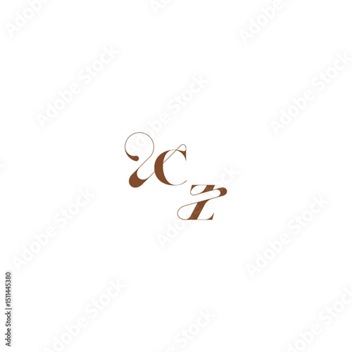 bold and hairline initial wedding logo concept CZ elegant curve monogram letter