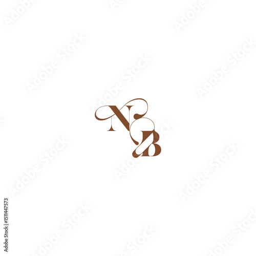 bold and hairline initial wedding logo concept NB elegant curve monogram letter