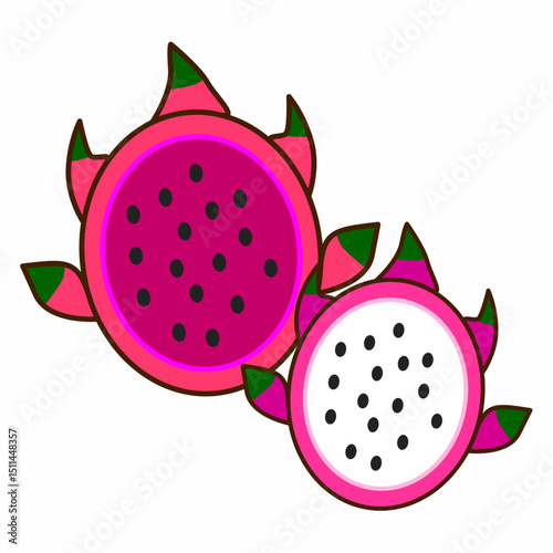 red & white dragon fruit color vector