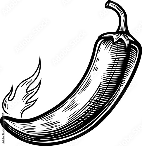 hand drawn spicy chili pepper retro black and white illustration heat, flavor, culinary art