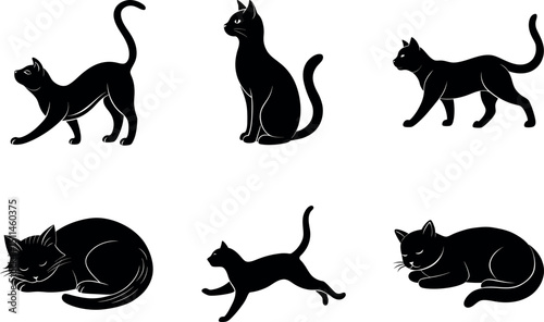  Graceful Cat Silhouettes in Natural Movements