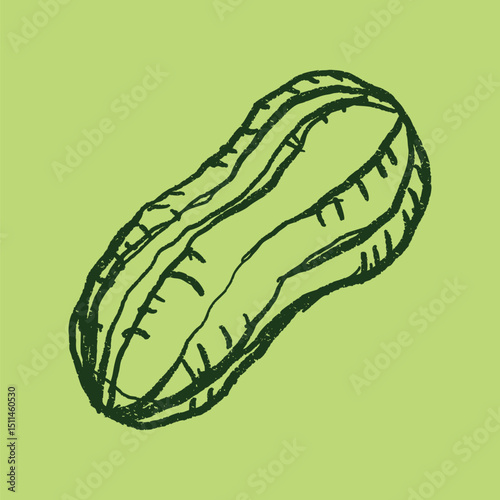 Doodle elements of fruit and vegetable, specifically a peanut