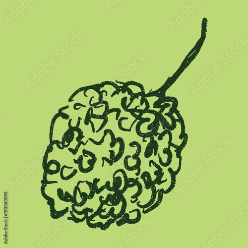 Doodle elements of fruit and vegetable, specifically a Lychee