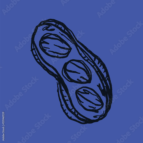 Doodle elements of fruit and vegetable, specifically a peanut