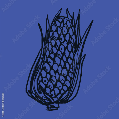 Doodle elements of fruit and vegetable, specifically a Corn