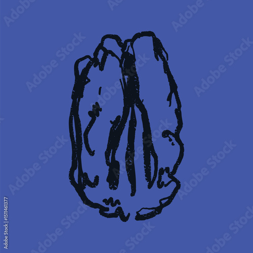 Doodle elements of fruit and vegetable, specifically a walnuts