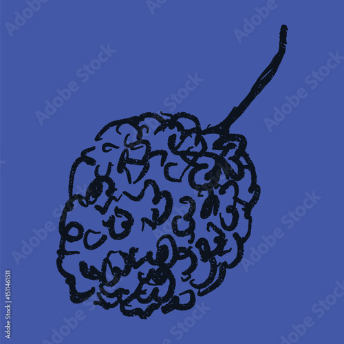 Doodle elements of fruit and vegetable, specifically a Lychee