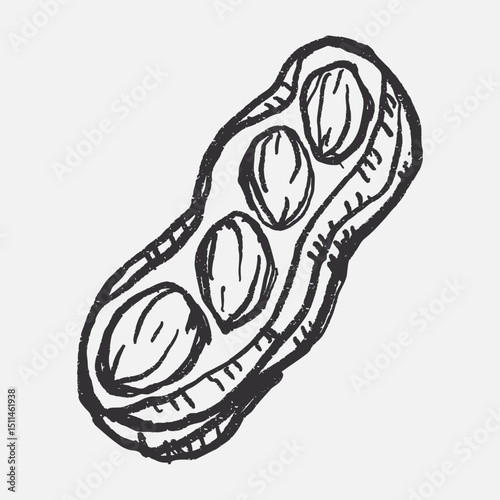 Doodle elements of fruit and vegetable, specifically a peanut