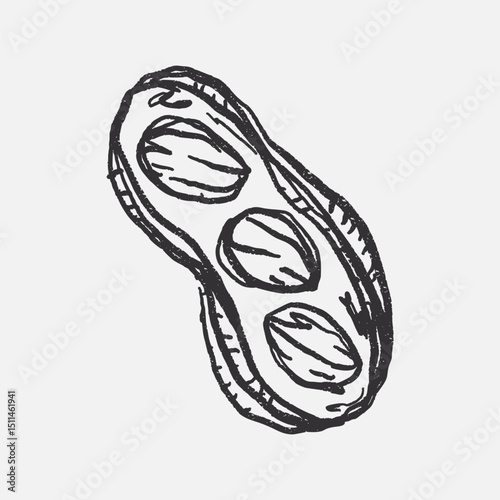 Doodle elements of fruit and vegetable, specifically a peanut