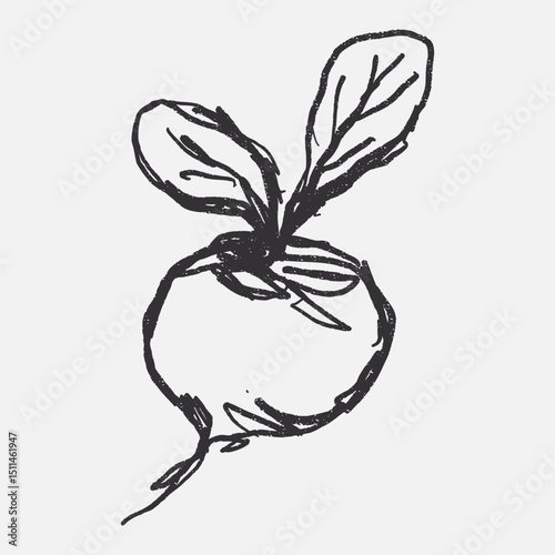 Doodle elements of fruit and vegetable, specifically a Beetroot