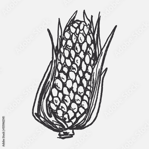 Doodle elements of fruit and vegetable, specifically a Corn