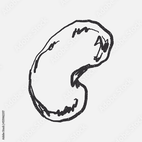 Doodle elements of fruit and vegetable, specifically a cashew nuts