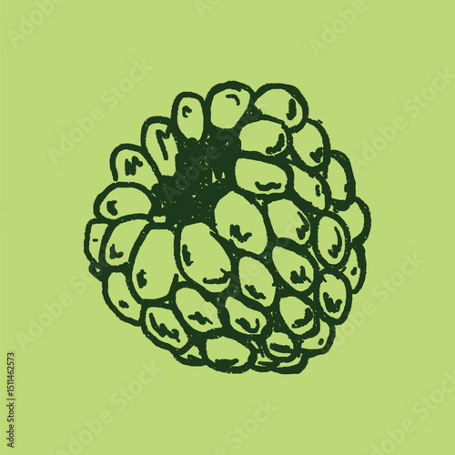 Doodle elements of fruit and vegetable, specifically a Raspberry