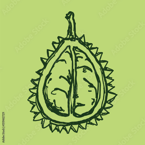Doodle elements of fruit and vegetable, specifically a Durian