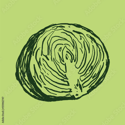 Doodle elements of fruit and vegetable, specifically a Cabbage