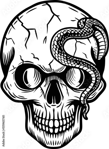 Skull and snake illustration gothic design with cracked texture and serpent motif