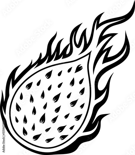 stylized flaming dragon fruit with dynamic fiery design black and white illustration, artistic tropical fruit motif