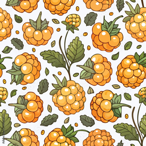 Cloudberry Vector Illustration with Seamless Pattern Design