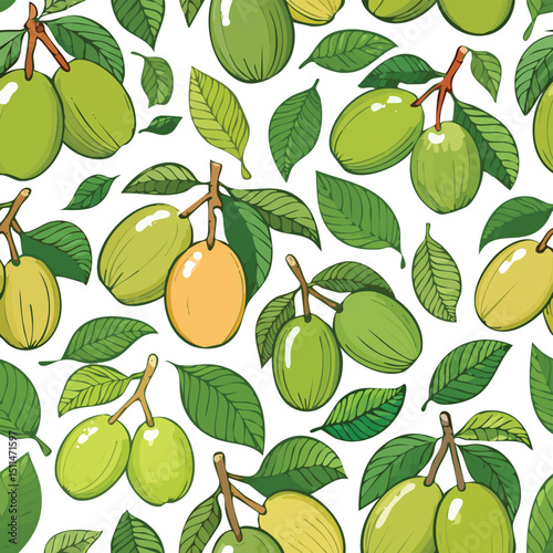 Hog Plum Vector Illustration with Seamless Pattern Design