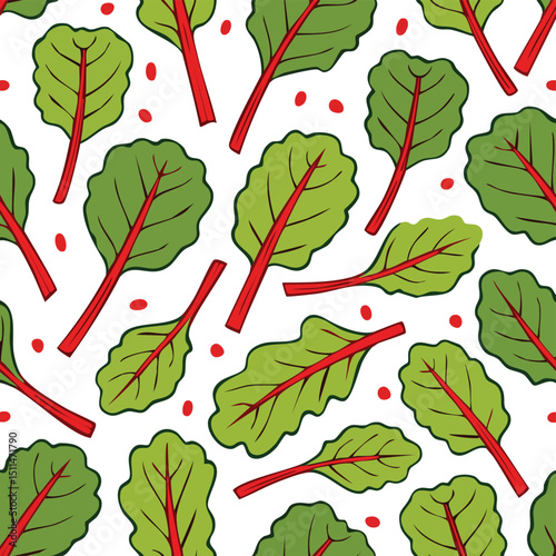 Swiss Chard Vector Illustration with Seamless Pattern Design