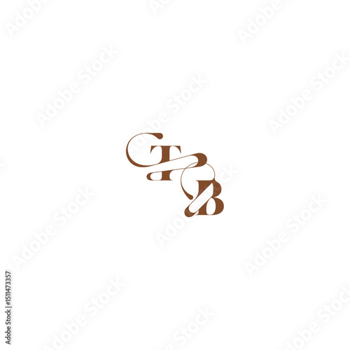 bold and hairline initial wedding logo concept TB elegant curve monogram letter