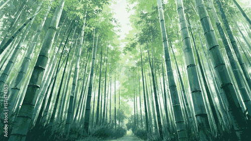 Jade Light Veil bamboo forest isolated watercolor vector illustration svg