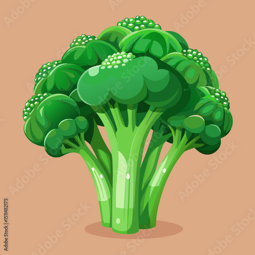 Fresh green broccoli vegetable illustration