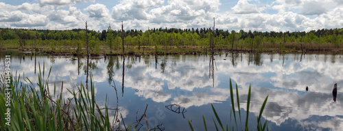 Schwenninger Moos