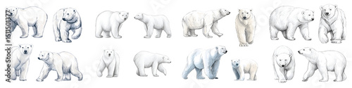 Adorable, realistic polar bears in various poses and expressions, showcasing their fluffy white fur in a natural Arctic setting, perfect for wildlife conservation themes and educational content photo