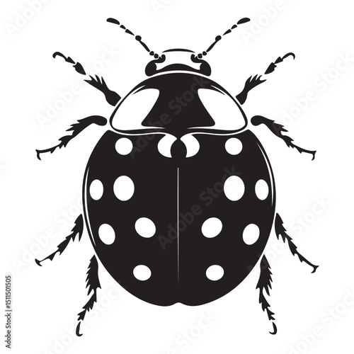 ladybug Insect Vector silhouette design
