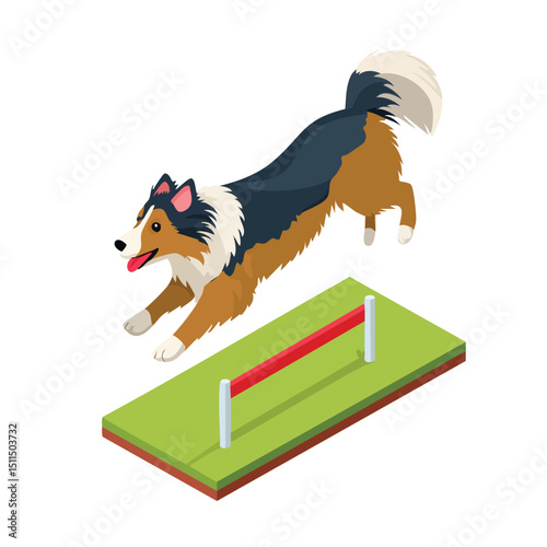 Havanese jump isometric vector illustration with clean geometry and modern design