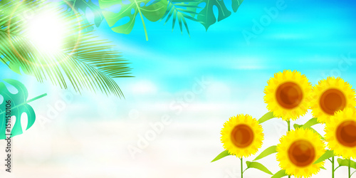 向日葵　海　葉　夏　背景