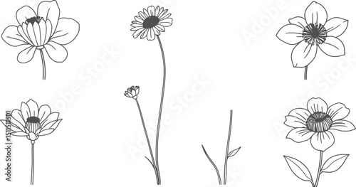 Blooming floral vector set with flying dandelion seeds and summer meadow flowers