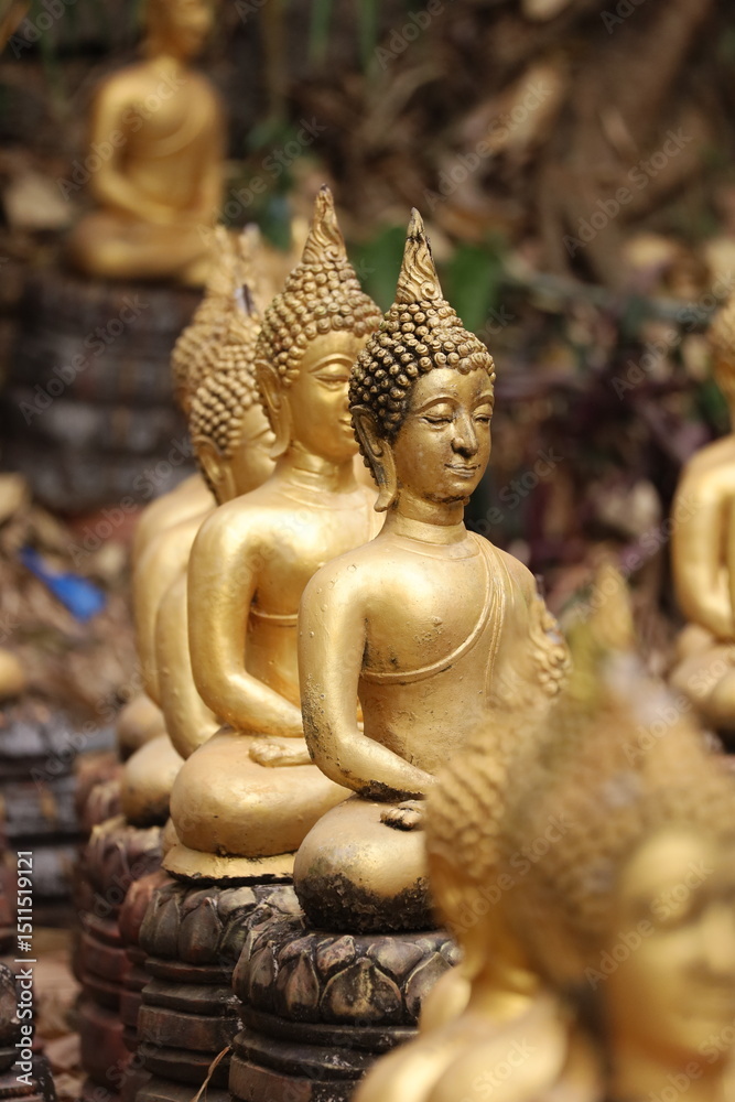 Fototapeta premium buddha, laos, temple, buddhist, statue, asia, religion, sculpture, spiritual, worship, asian, landmark, culture, faith, ancient, gold, traditional, architecture, historic, travel, holy, tourism, peace