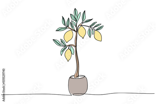 Decorative lemon tree in a simple pot with fresh lemons on branches