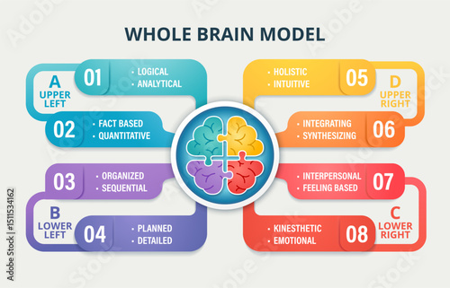 Whole Brain Model infographic showing four thinking quadrants: analytical, sequential, emotional, and holistic. Color-coded brain sections represent cognitive diversity and thinking styles for educati