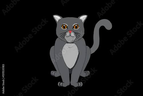 black and white cats
