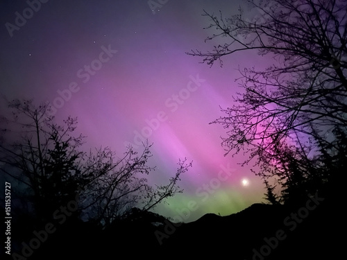 halloween night landscape