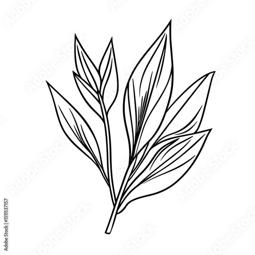 Line drawing of tropical leaves illustrating the concept of travel  