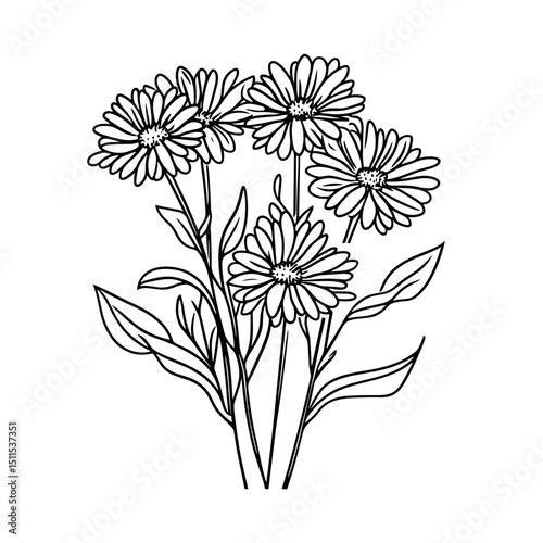 Bouquet of asters with leaves illustrated in black line art  
