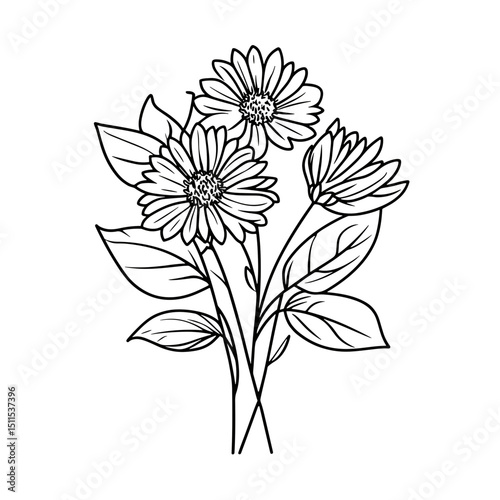 Line drawing of a bouquet of asters with leaves on a white background  