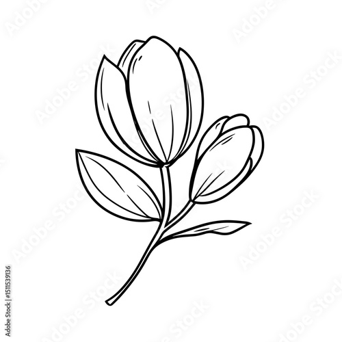 Single line drawing of flowering plant with leaves on white background  