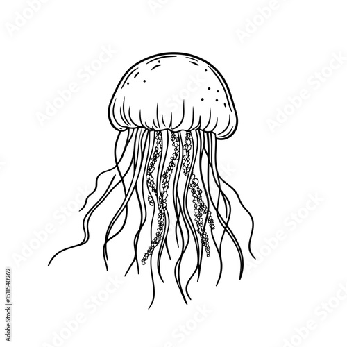 Outline illustration of a jellyfish swimming in the ocean  