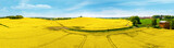 Panorama Warmii . Kwitnienie rzepaku.