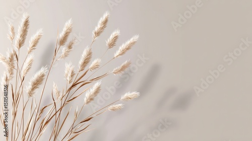 Flat minimalist background with evenly arranged thin dried grasses and plants on a neutral beige base, subtle shadows only inside plant forms, serene 