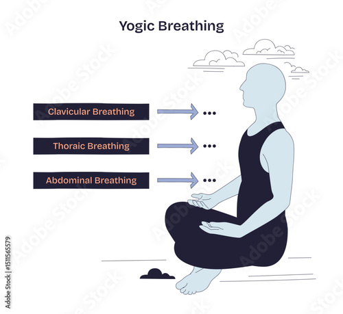 Yogic Breathing illustrates a seated figure with arrows showing clavicular, thoracic, and abdominal breathing, transparent background. Doodle style diagram