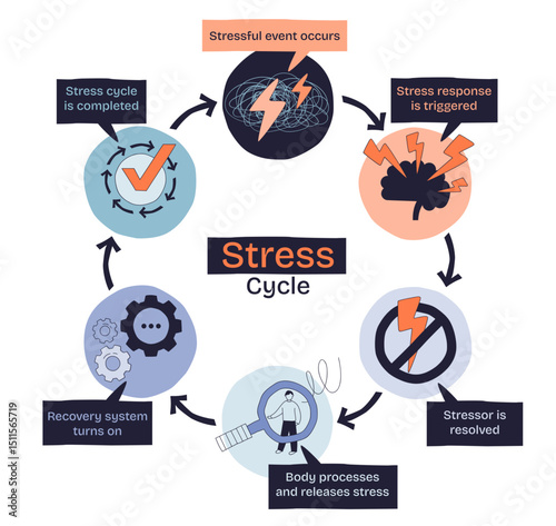 Stress cycle shows how stress starts, triggers a response, is resolved, and recovery begins, transparent background. Key objects, lightning bolt, check mark, gears. Doodle style diagram