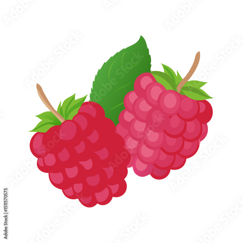raspberries icon