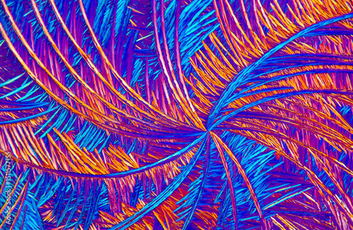 Colorful microcrystals of salicylic acid observed under a microscope photo
