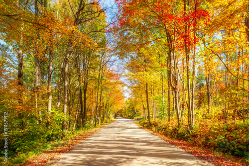 Scenic autumn view of a tree-lined road in Vermont, New England with colorful fall foliage and blue sky